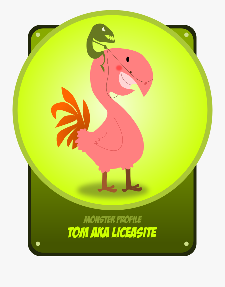 Peace Dove 5 9 Fav Wall Paper Background 555px - Clip Art, Transparent Clipart