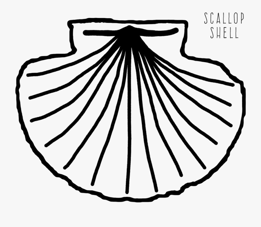 Drawing Shell Scallop - โลโก้ โรงเรียน มุสลิม วิทยา ภูเก็ต, Transparent Clipart