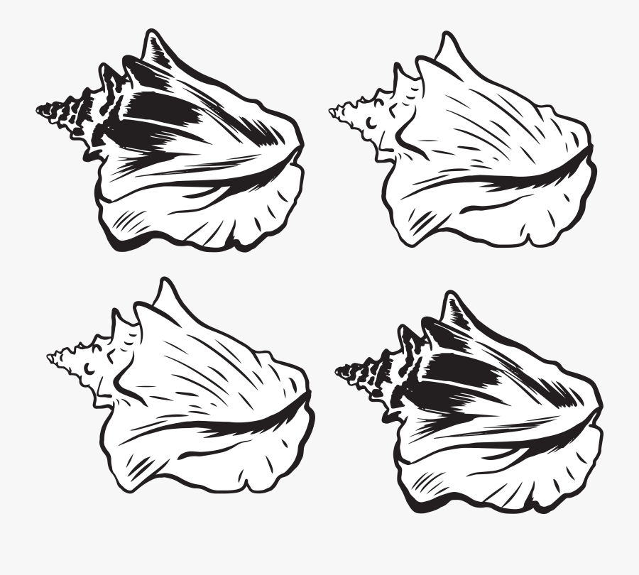 Transparent Shell Clipart Black And White - Conch Shell Png Vector, Transparent Clipart