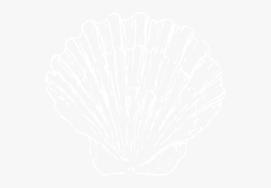 Seashell, Transparent Clipart
