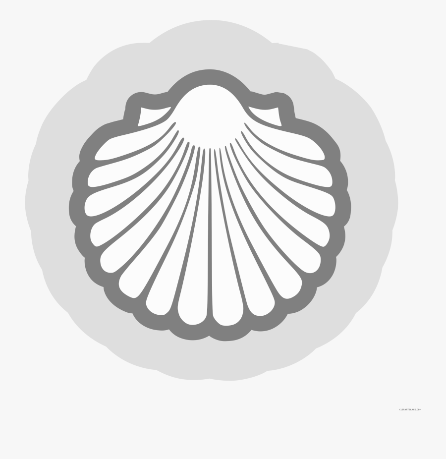 Shell Vector Png - Scallop Clipart, Transparent Clipart