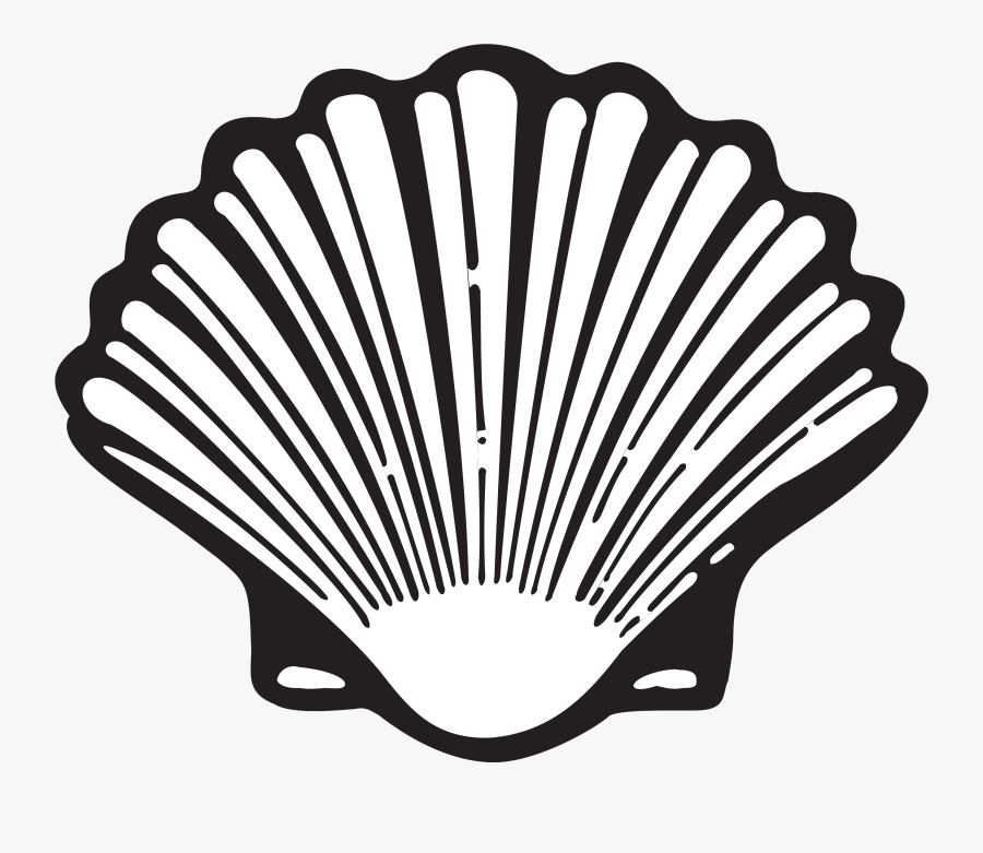 Shell The Evolution Of - Shell Logo Evolution, Transparent Clipart