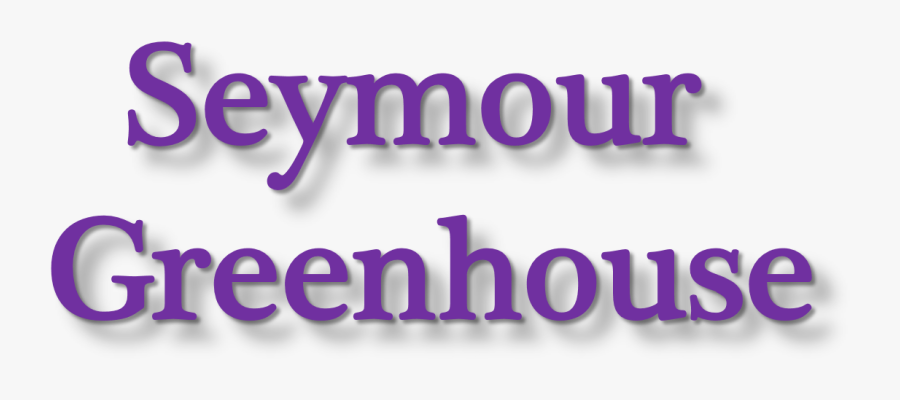 Teleflora"s Festive Berries And Holly Tree In Seymour - Human Action, Transparent Clipart