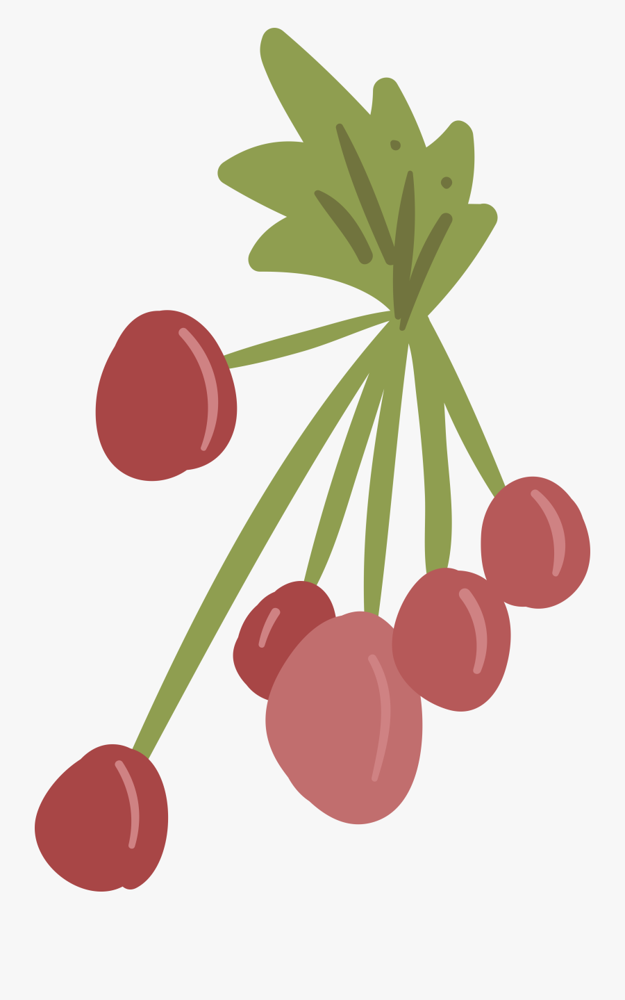 Clip Art Frutti Di Bosco Cherry - Cherry, Transparent Clipart