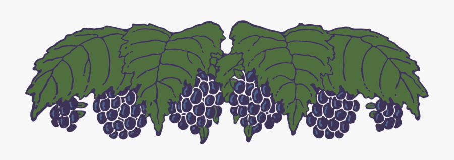 Seedless Fruit, Transparent Clipart