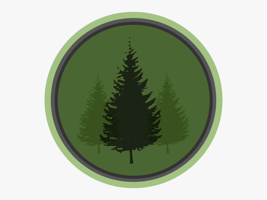 Clipart Pine Trees Black And White, Transparent Clipart