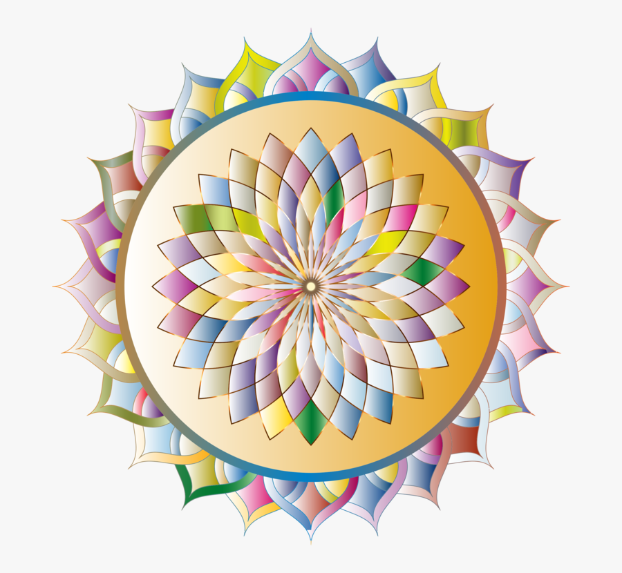 Flower,symmetry,petal - Circle, Transparent Clipart