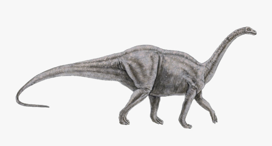 #dinosaur #brontosaurus I Think - Brontosaurus Image Png, Transparent Clipart