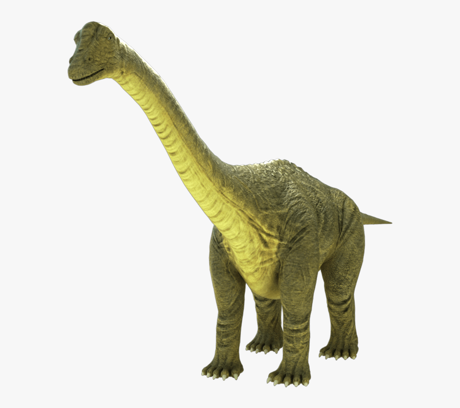 Brontosaurus Apatosaurus - Jurassic World Brontosaurus Png, Transparent Clipart