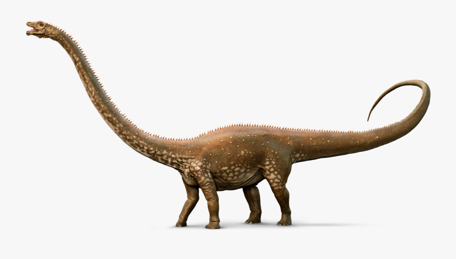 Dinosaur Clipart Apatosaurus - Diplodocus Png, Transparent Clipart