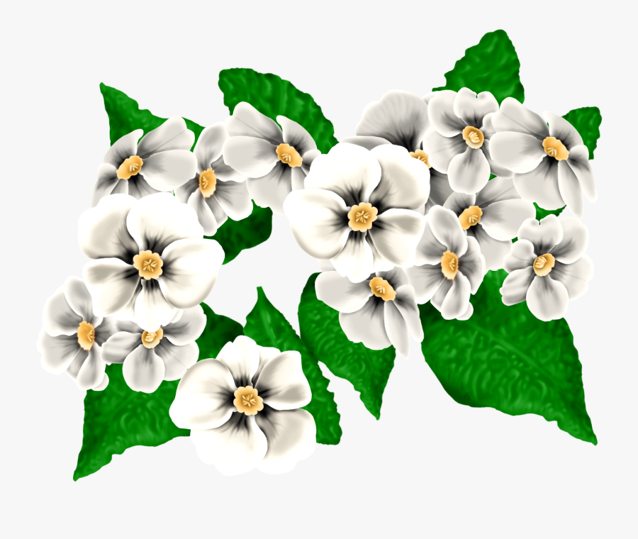 0 134569 A04db3df Orig - Moth Orchid, Transparent Clipart