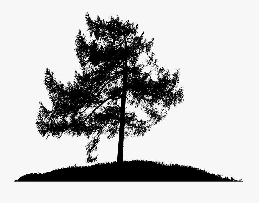 Lonely Tree Silhouette Clip Arts - Png Pine Trees Silhouettes, Transparent Clipart