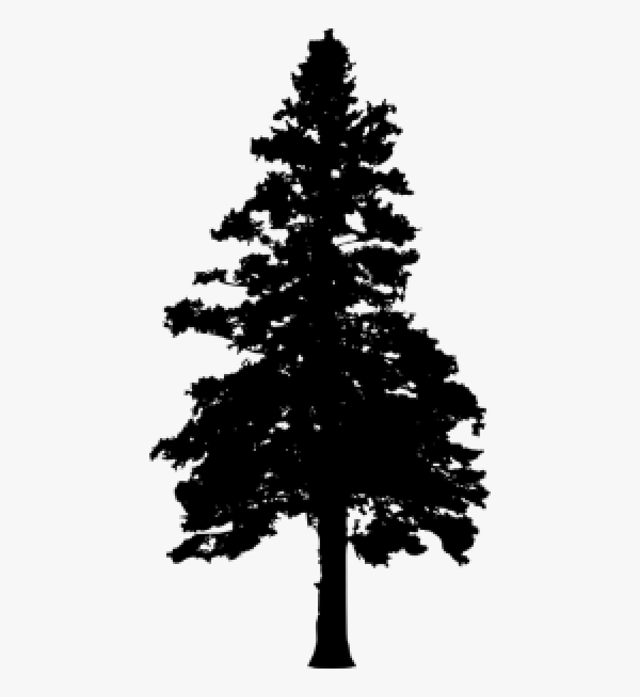 30 Pine Tree Silhouette Vol - Transparent Tree Silhouette Png Pine Tree Drawing Transparent, Transparent Clipart