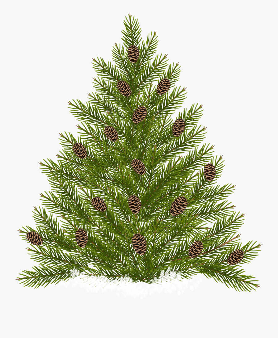 Pine Tree With Cones Transparent Png Clip Art, Transparent Clipart