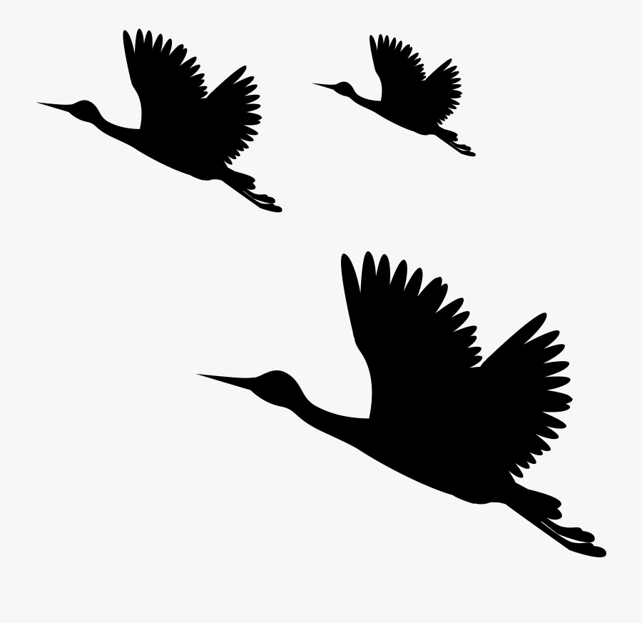 Birds Silhouettes Png Clip Art Image - Full Hd Png Images For Editing, Transparent Clipart