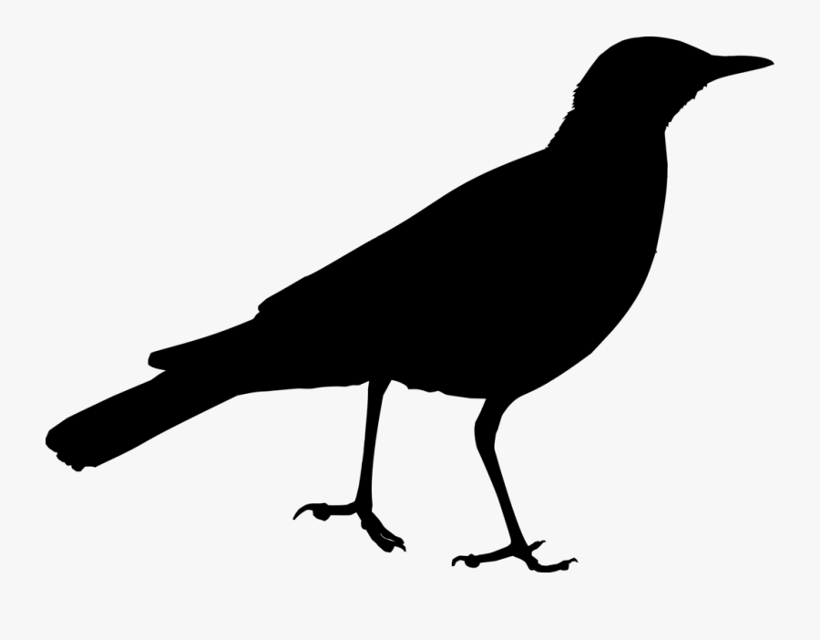 Bird Silhouette Cliparts - Clipart Bird Silouhette, Transparent Clipart