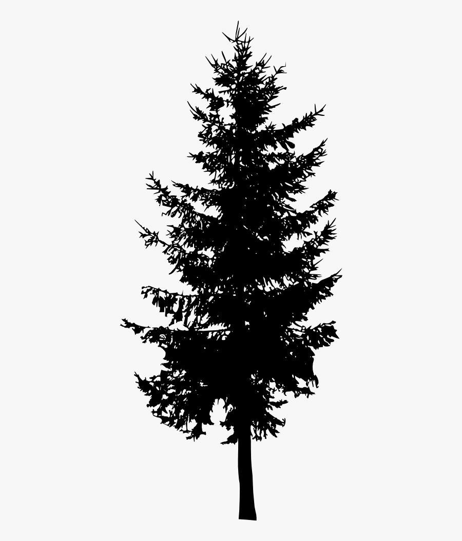 30 Pine Tree Silhouette Vol - Silhouette Pine Tree Png, Transparent Clipart