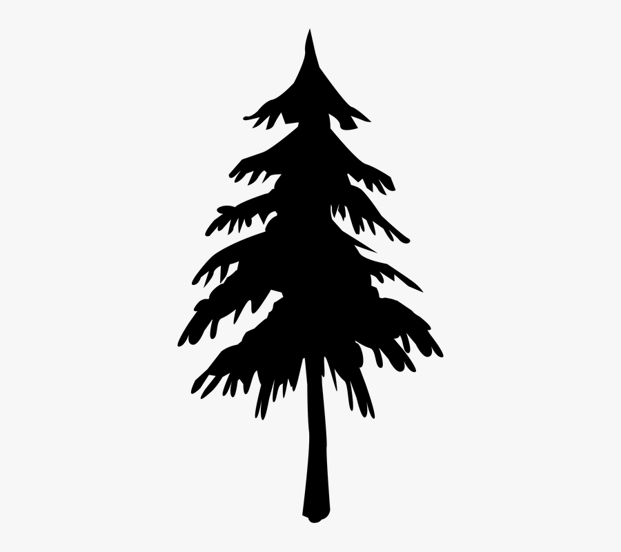 Tree, Silhouette, Fir Tree, Black, Baume, Clouds - Redwood High School Redwood City Ca, Transparent Clipart