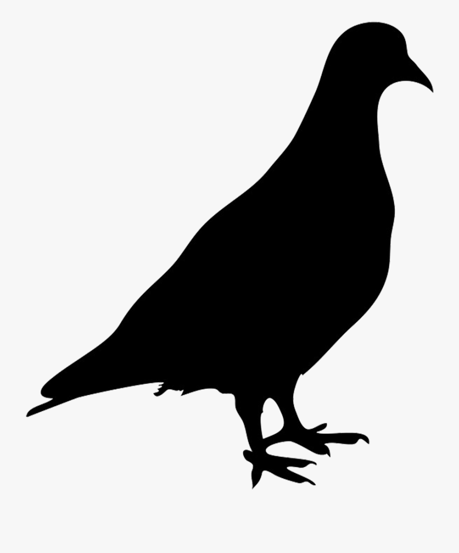 Silhouette Of Pigeon - Pigeon Silhouette, Transparent Clipart