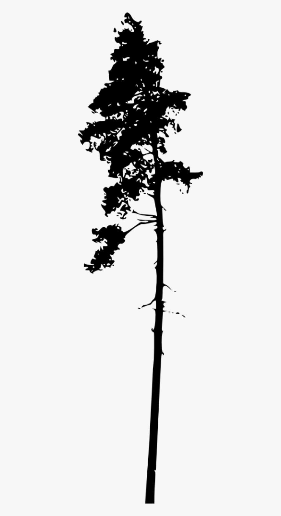 Pine Tree Trunk Silhouette, Transparent Clipart