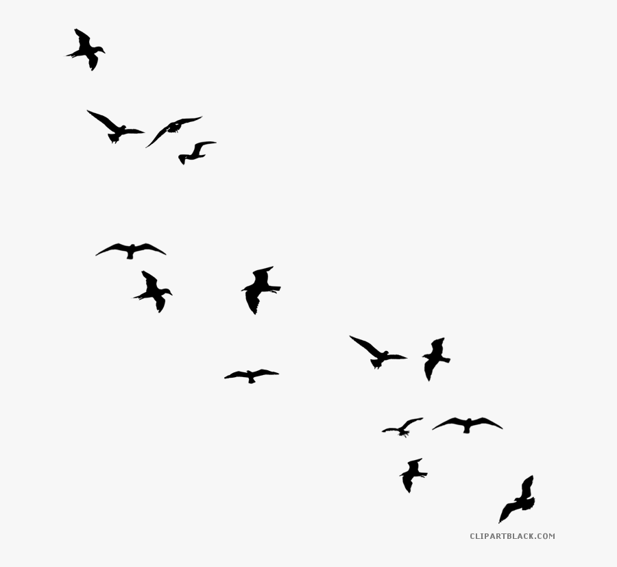 Transparent Flying Bird Clipart Black And White - Birds Flying Silhouette Png, Transparent Clipart