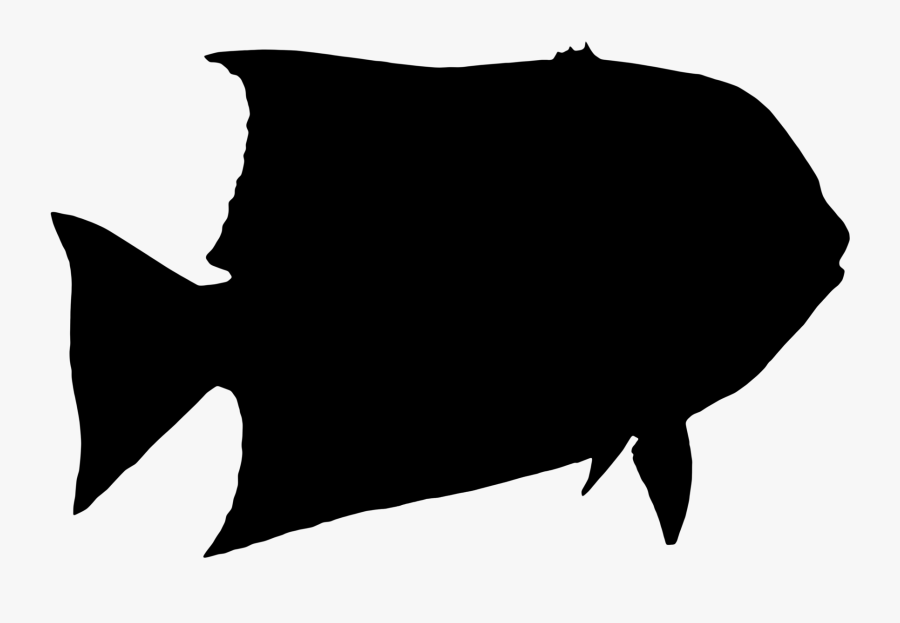 Black & White - Illustration, Transparent Clipart