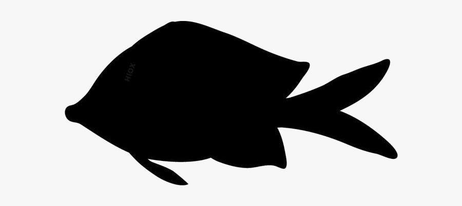Transparent Fish Silhouette, Clip Art, Transparent Clipart