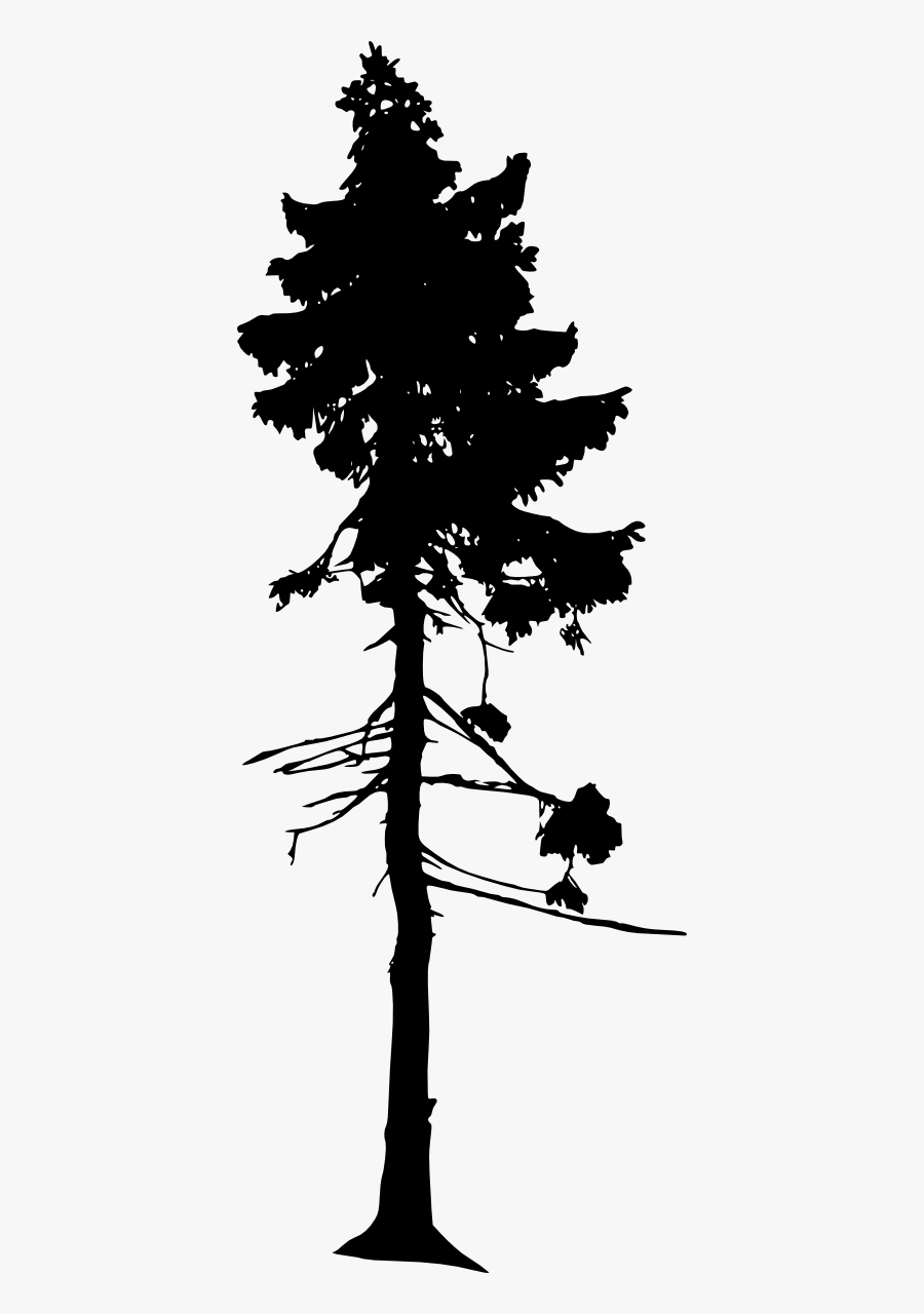 Old Tjikko Silhouette, Transparent Clipart