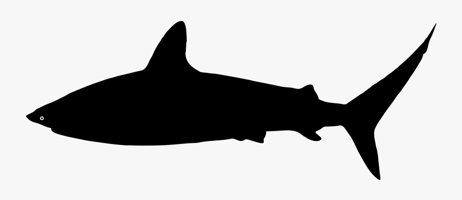 3,930 Shark Silhouette Stock Vector Illustration And - Svg Svg File Shark Silhouette, Transparent Clipart