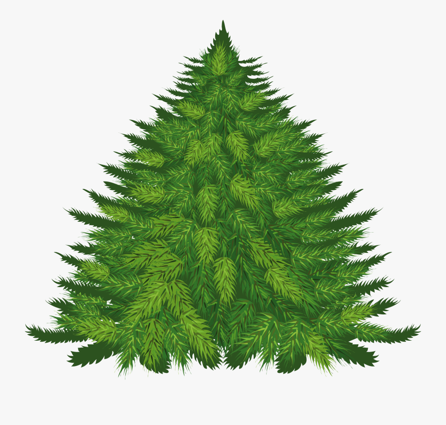 Free Pine Tree Silhouette Free - Фонетический Разбор Слова Ел, Transparent Clipart