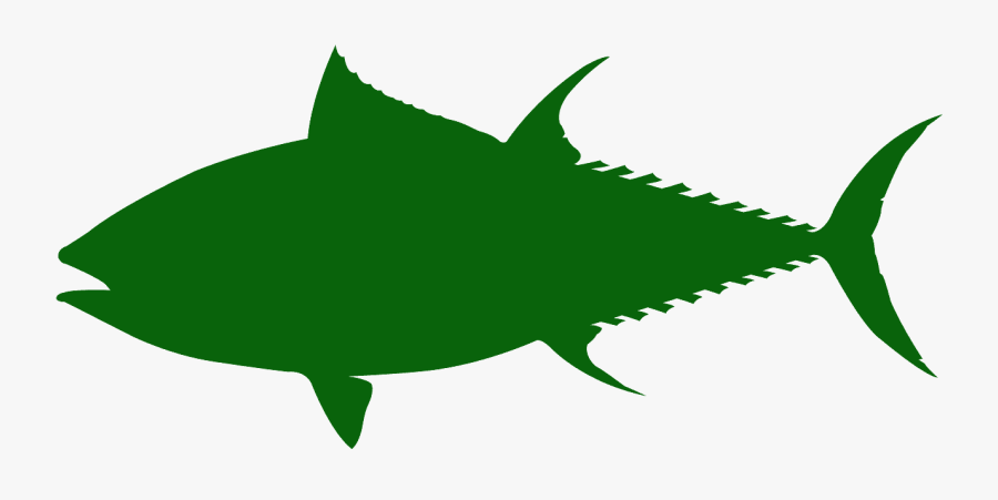 Bluefin Tuna, Transparent Clipart