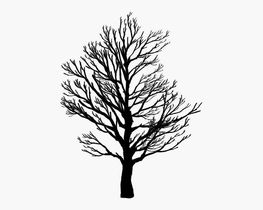 Tree Silhouette Art , Png Download - Barren Tree Png, Transparent Clipart