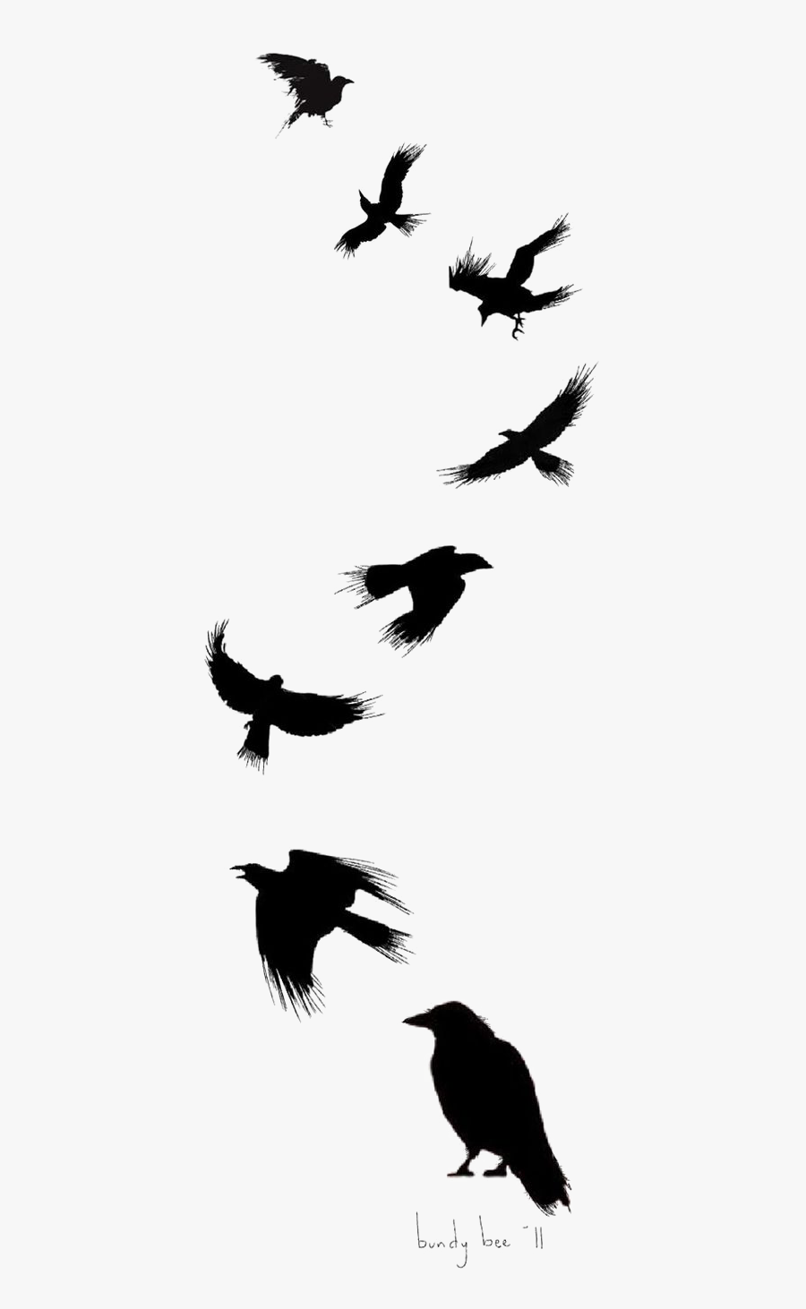 Tattoo Flight Crow Drawing Common Ink Bird Clipart - Small Raven Tattoo, Transparent Clipart