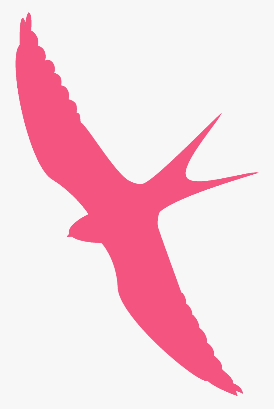 Zwaluw Contouren, Transparent Clipart