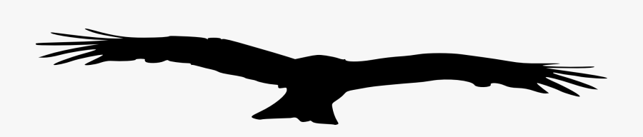 Eagle, Transparent Clipart