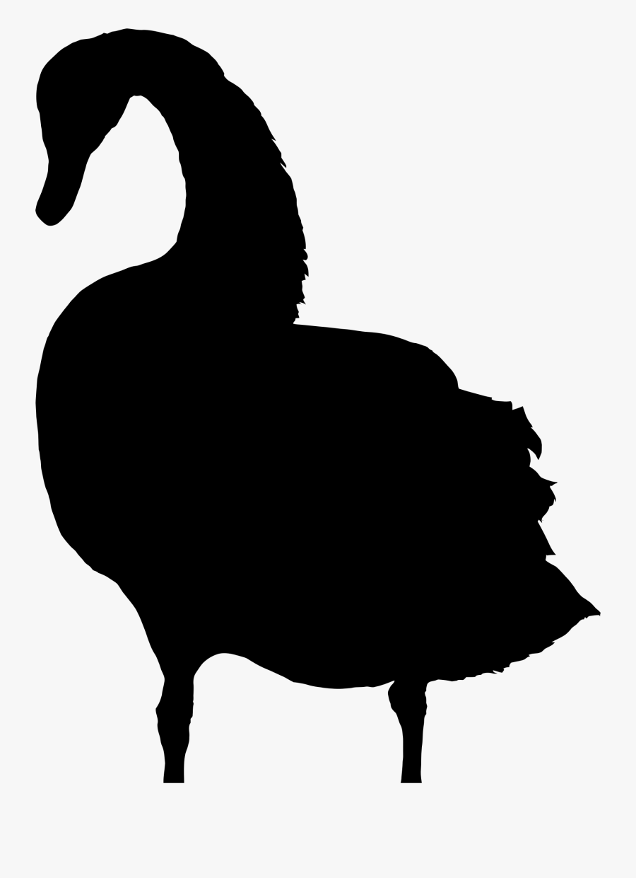 Bird Drawing Silhouette Black Swan Computer Icons Contoh Gambar