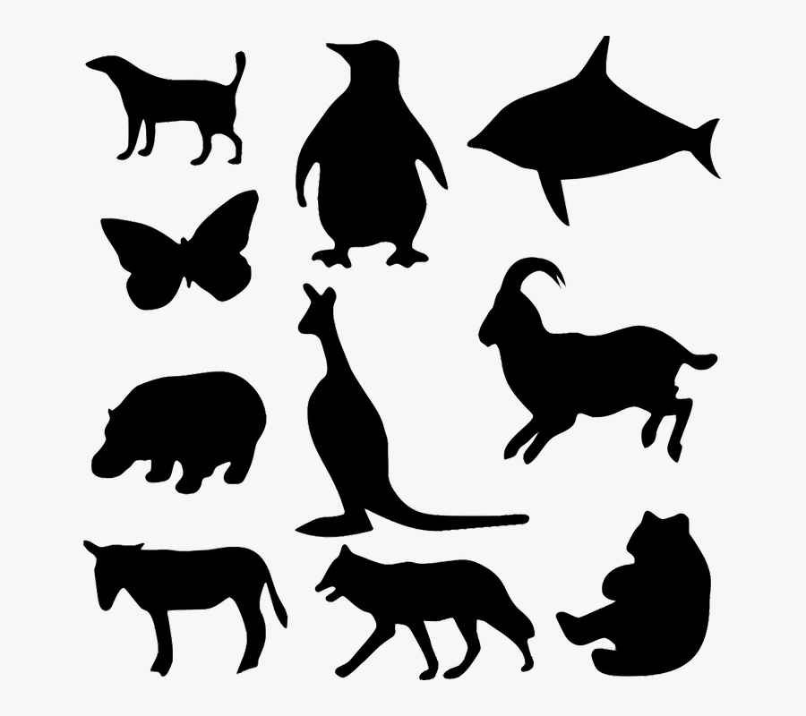 Animal, Bear, Butterfly, Dog, Donkey, Fish, Hippo - Animal Silhouettes, Transparent Clipart