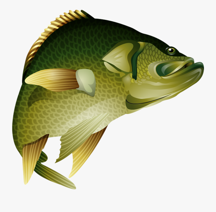 Transparent Bass Fish Silhouette Clipart - Ikan Nila Vector Png, Transparent Clipart