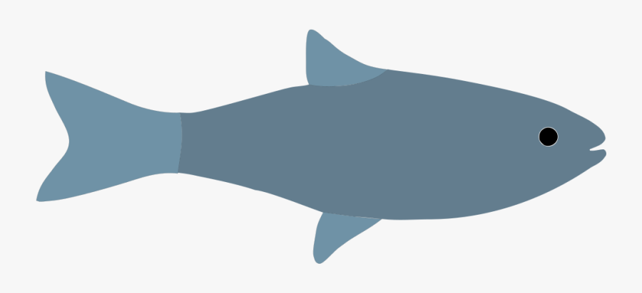 Fish Icon Grey - Cartilaginous Fish, Transparent Clipart