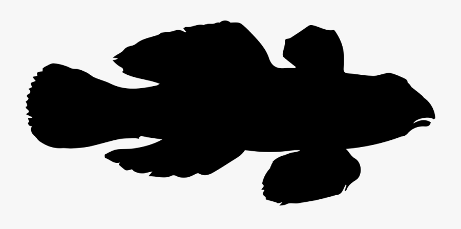 Fish Shape Of Dragonet Comments - 4 Leaf Clover Silhouette Jpg, Transparent Clipart