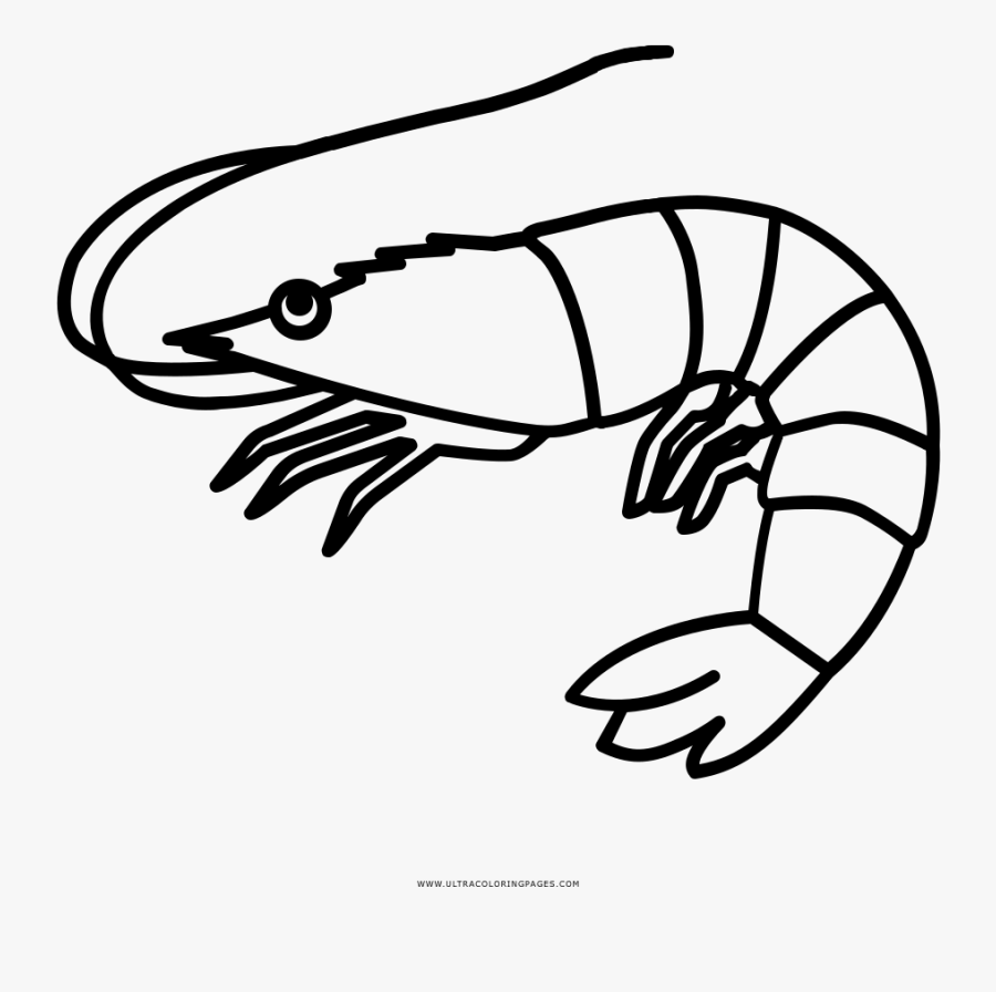 Clipart Fish Shrimp - Shrimp Clipart Black And White, Transparent Clipart