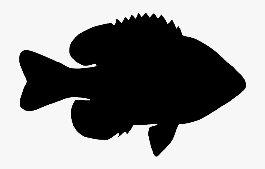 Fish Clip Art Silhouette Black M - Fish Png Black Tilapia, Transparent Clipart