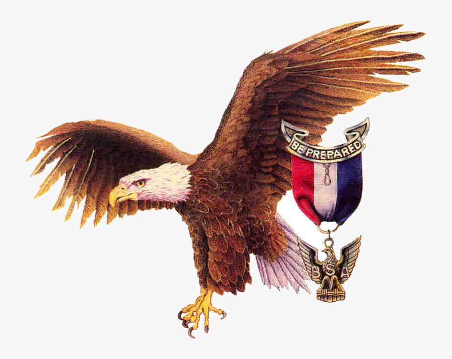 Eagle Scout Bsa Clipart Collection Clip Art Transparent - Eagle Scout, Transparent Clipart