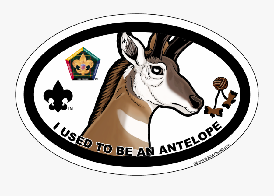 Wood Badge Critters Eagle, Transparent Clipart