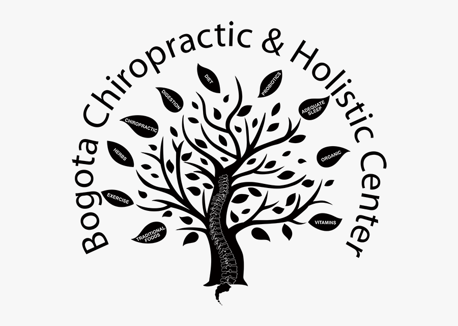 Bogota Chiropractic And Holistic Center - Illustration, Transparent Clipart