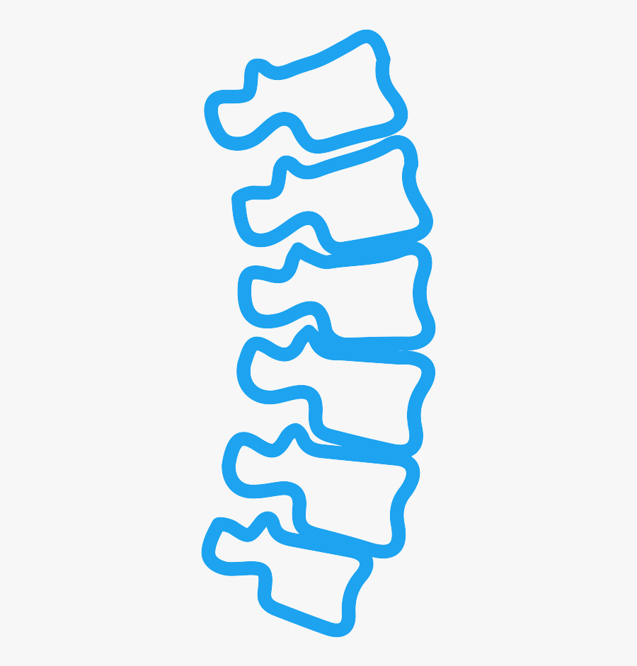 Transparent Spine Icon, Transparent Clipart