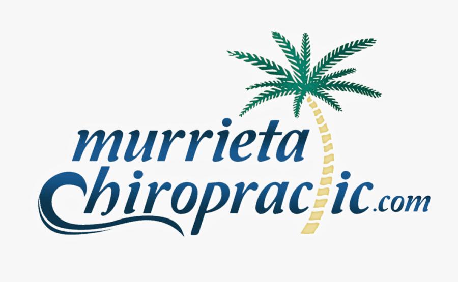 Coconut, Transparent Clipart