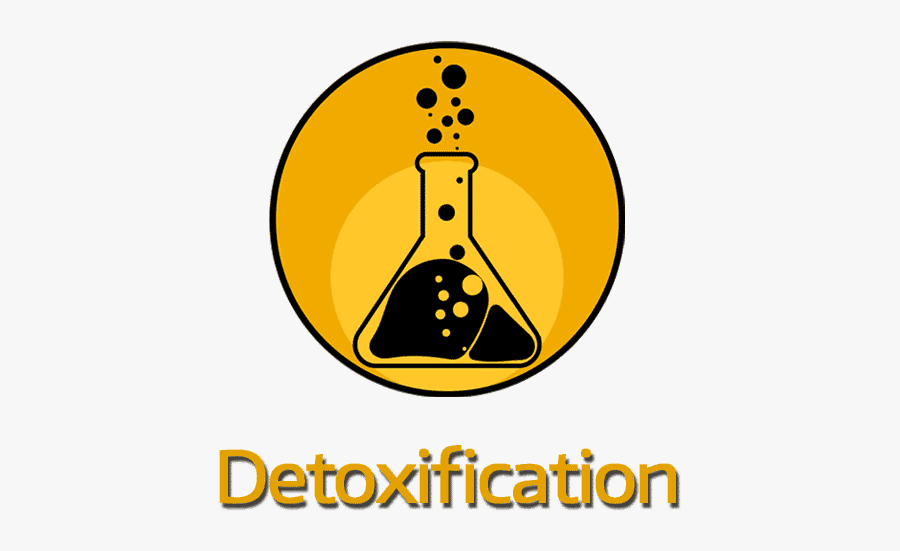 Detoxification - Britain Car Magazine, Transparent Clipart