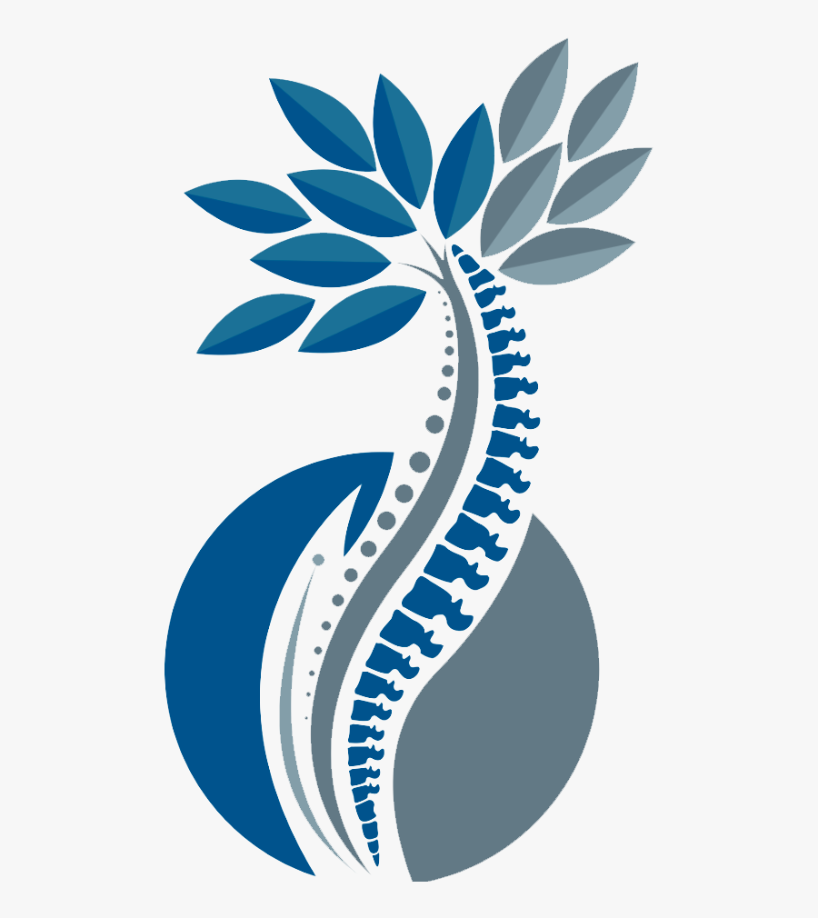 Hoffmann Chiropractic - Spine Tree Icon, Transparent Clipart