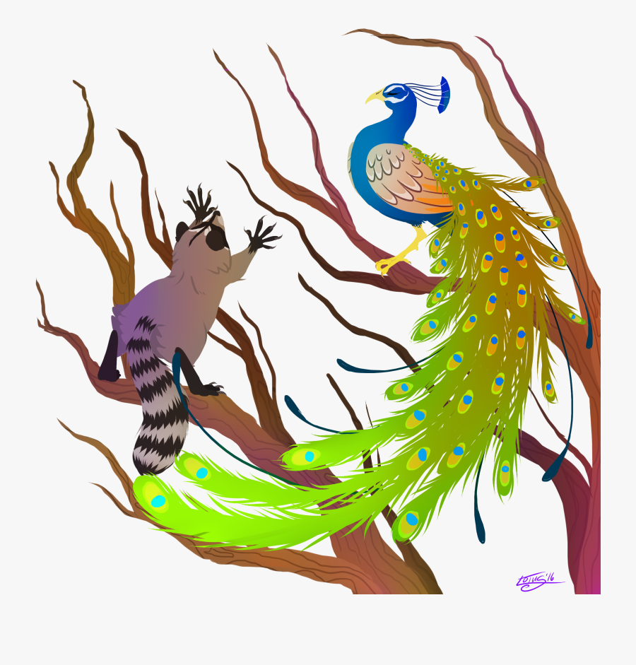 Peacock And Raccoon - Raccoon Peacock, Transparent Clipart